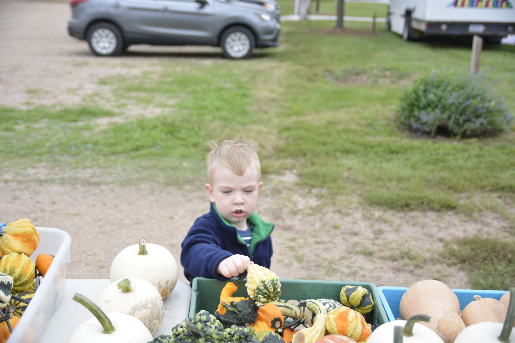 10-6-19 Prairie Loft HarvestFest (49).JPG